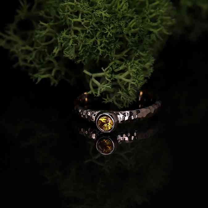 Žiedas Atspindžiai vandenyje - užsakymas paveikslėlis